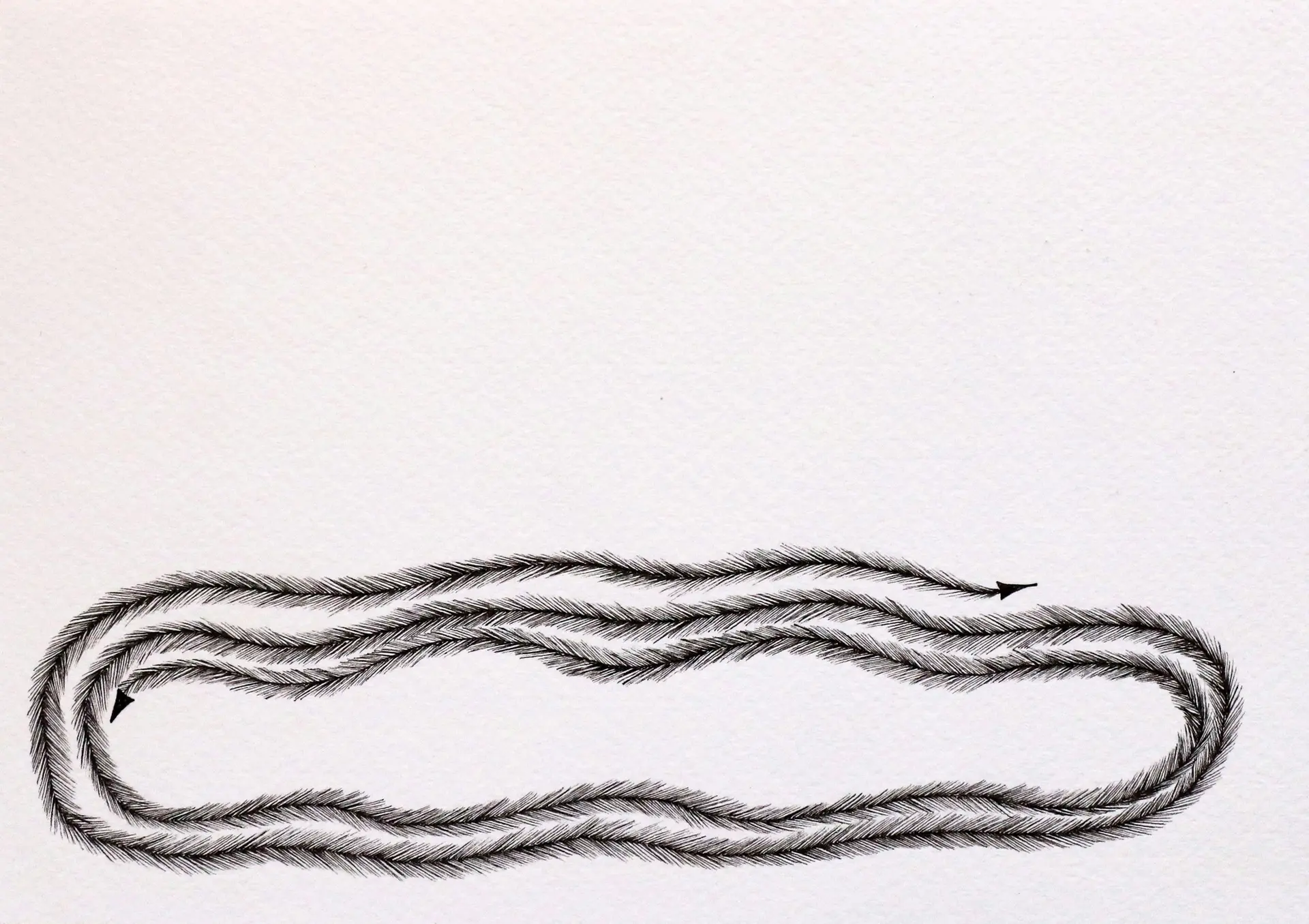 D-2, 1 by Preksha Tater - Pen and color on paper