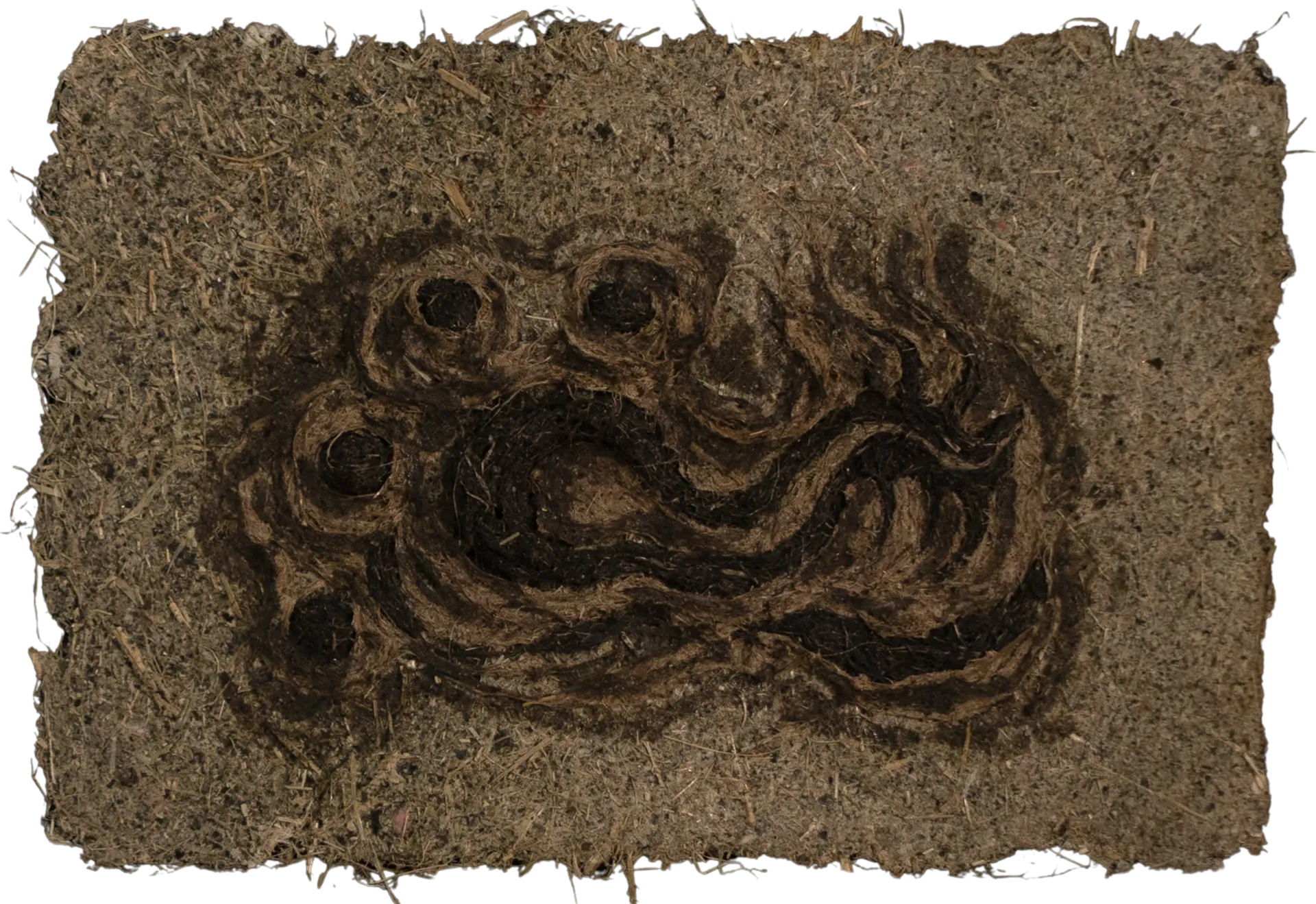 Surface of silence 3 by Manjit Gogoi - Mixed media (water hyacinth pulp, water hyacinth roots on water hyacinth paper)