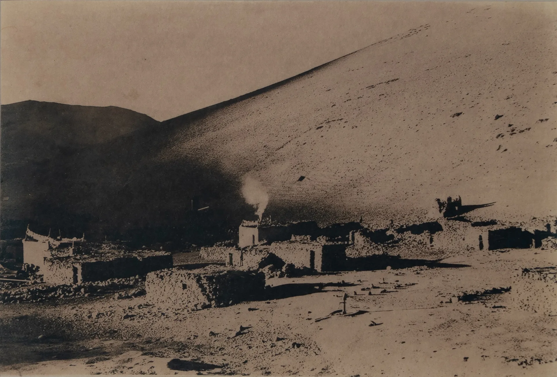From the land of nomads- yagang camp, kharnak by Ayan Biswas - Toned with wild flowering plant Sporlo