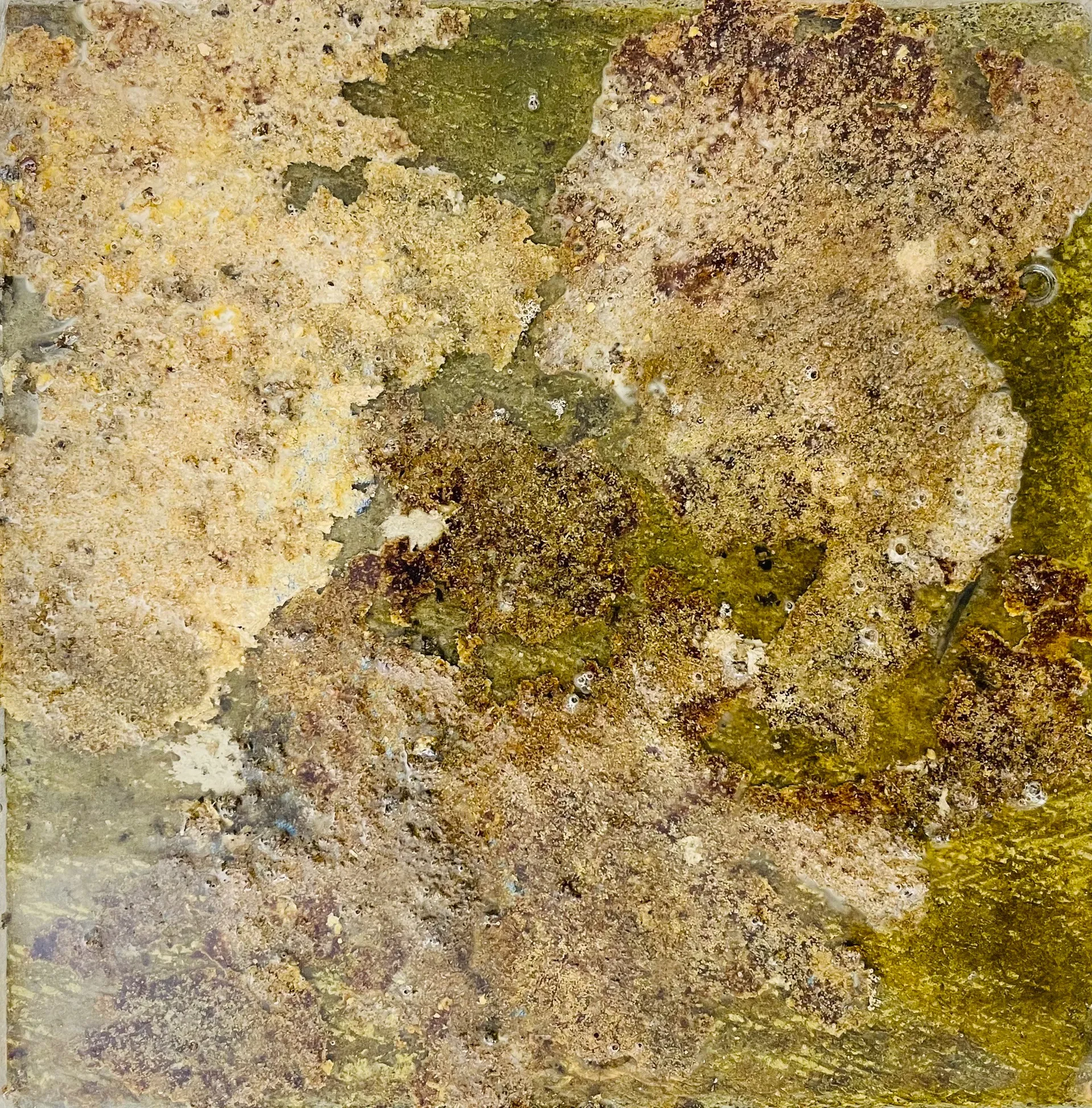 Moss series, 1 by Gurdeep Brar - Epoxy resin and moss on a C4X block