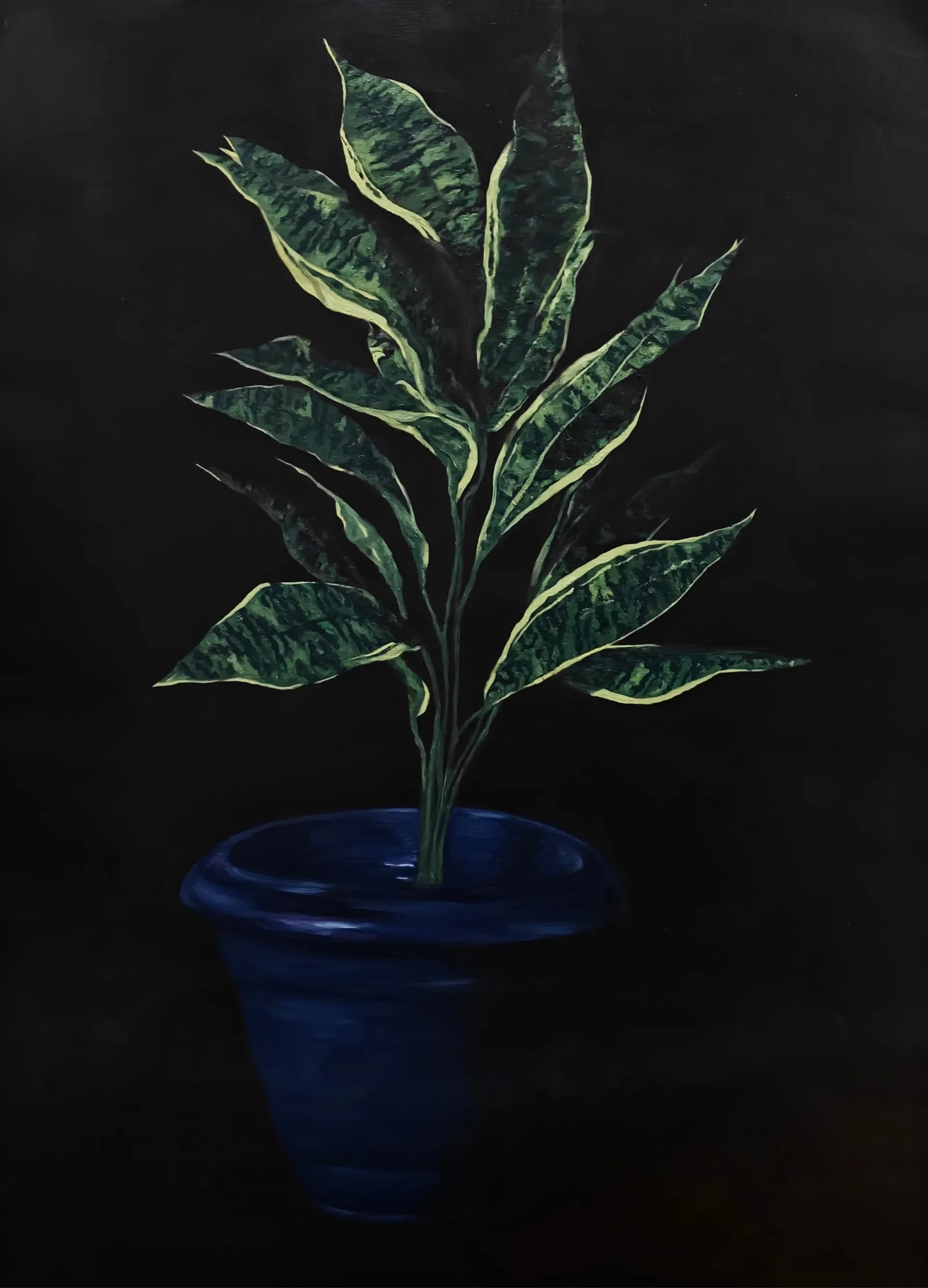 Almost real by Bhavana Parakh - Oil paint on Canson oil sheet