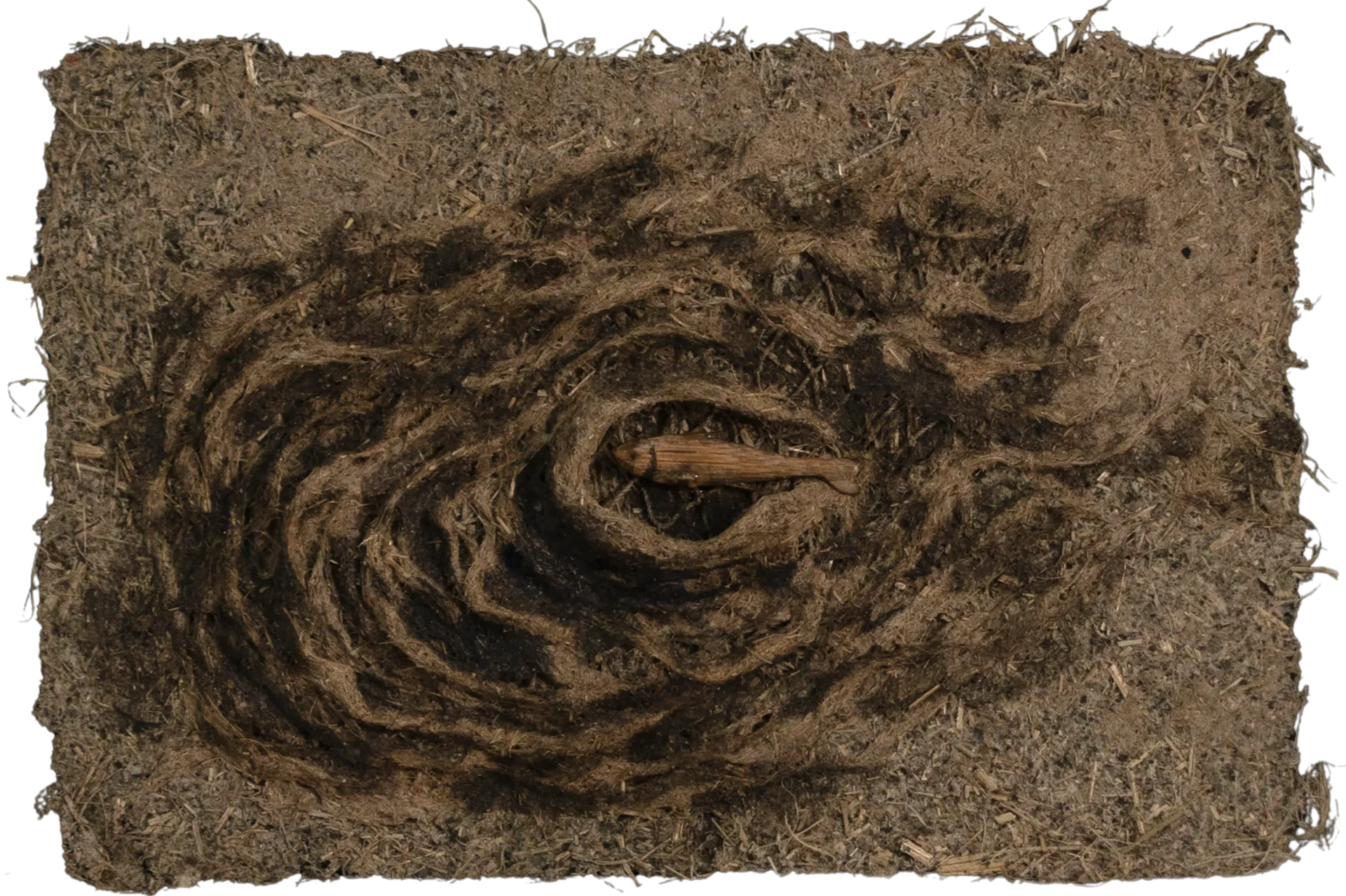 Surface of silence 2 by Manjit Gogoi - Mixed media (water hyacinth pulp, bamboo on water hyacinth paper)