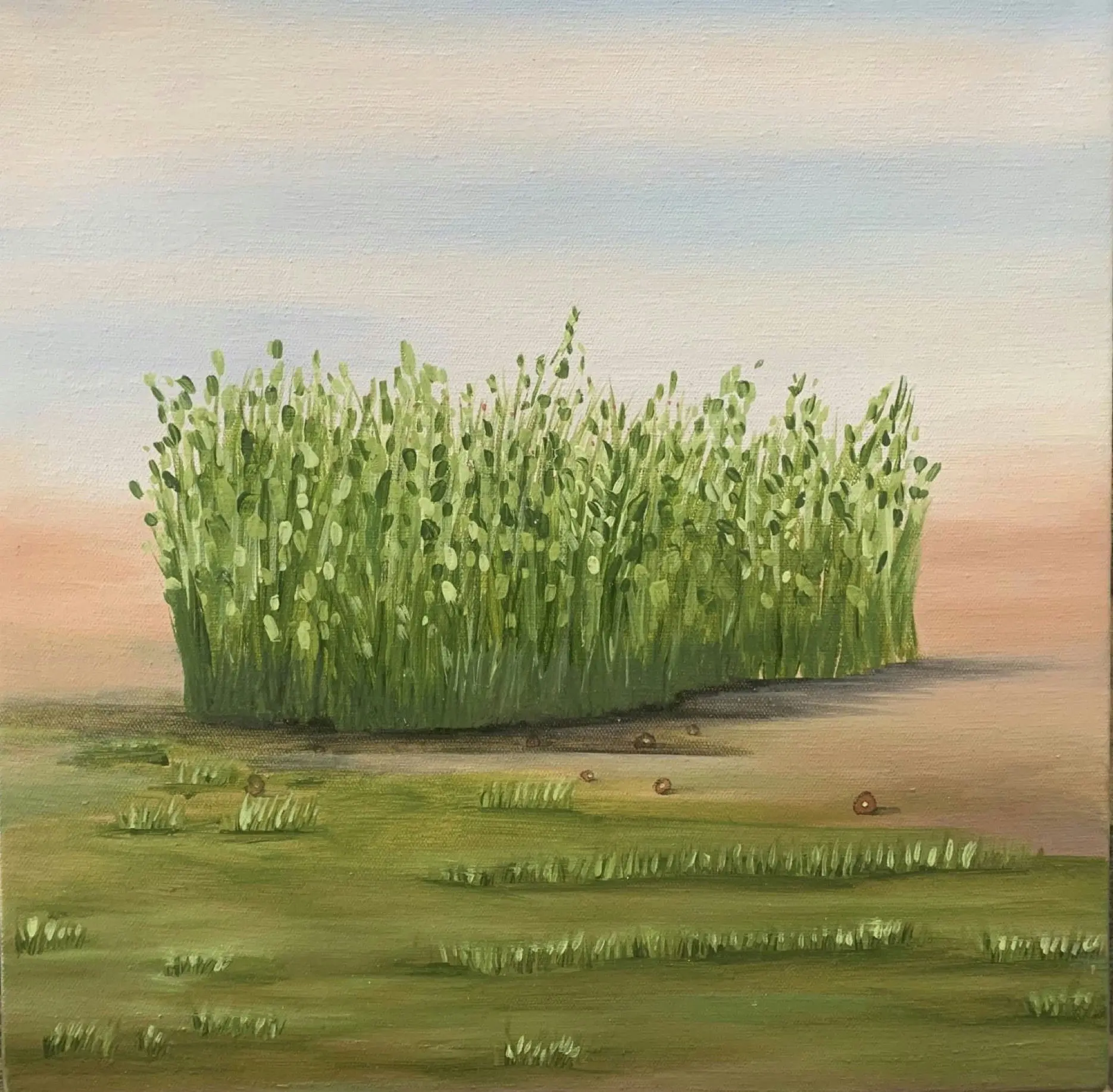 Untitled by Sarika Mehta - Oil on canvas