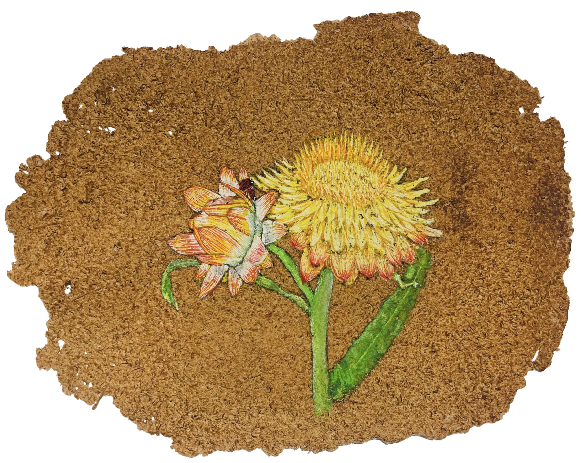 Parchavam-II, ਪਰਛਾਵਾਂ-II, 12 by Gurdeep Brar - Gouache on artist-made paper with dried flowers