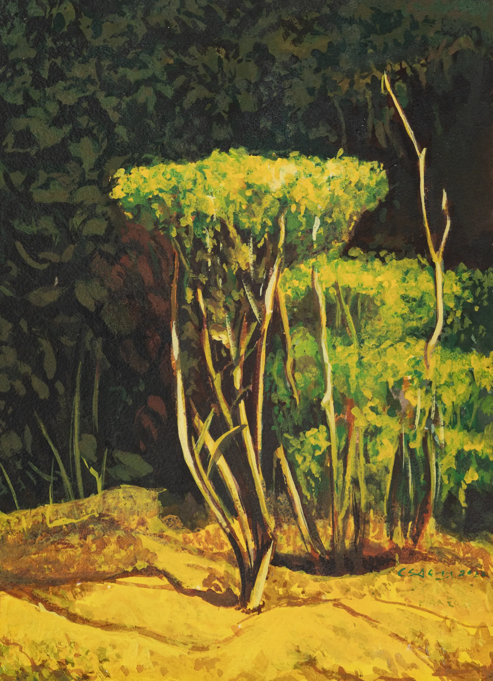 Dhoop in the garden by Akbar Ali Sunasara - Acrylic on handmade paper