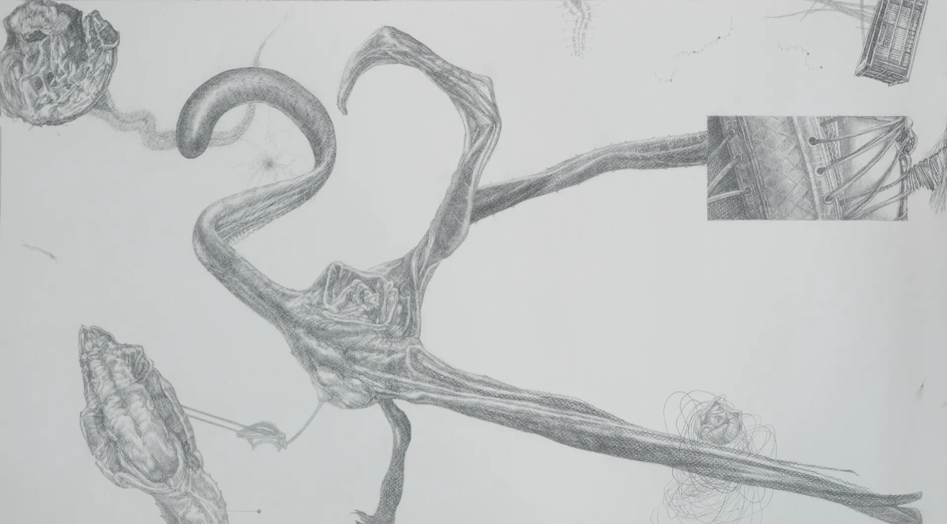 Things I heard 2 by Nabanita Guha - Graphite on Fabriano Paper