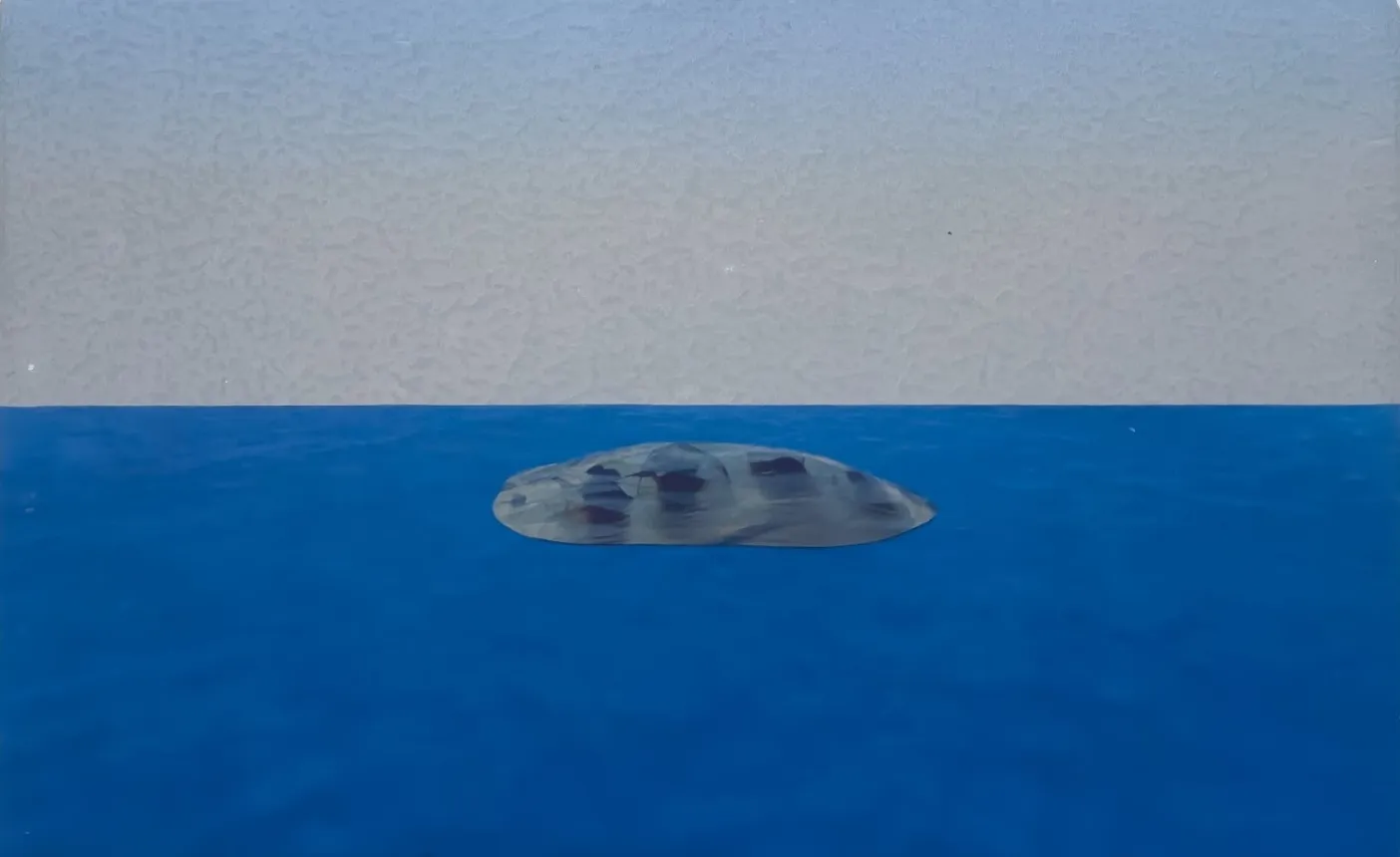 Last land by Boris Colin Alphonse - Digital sculpture made in Blender, UV print on prepared marine plywood (water sealant, primer, gesso)