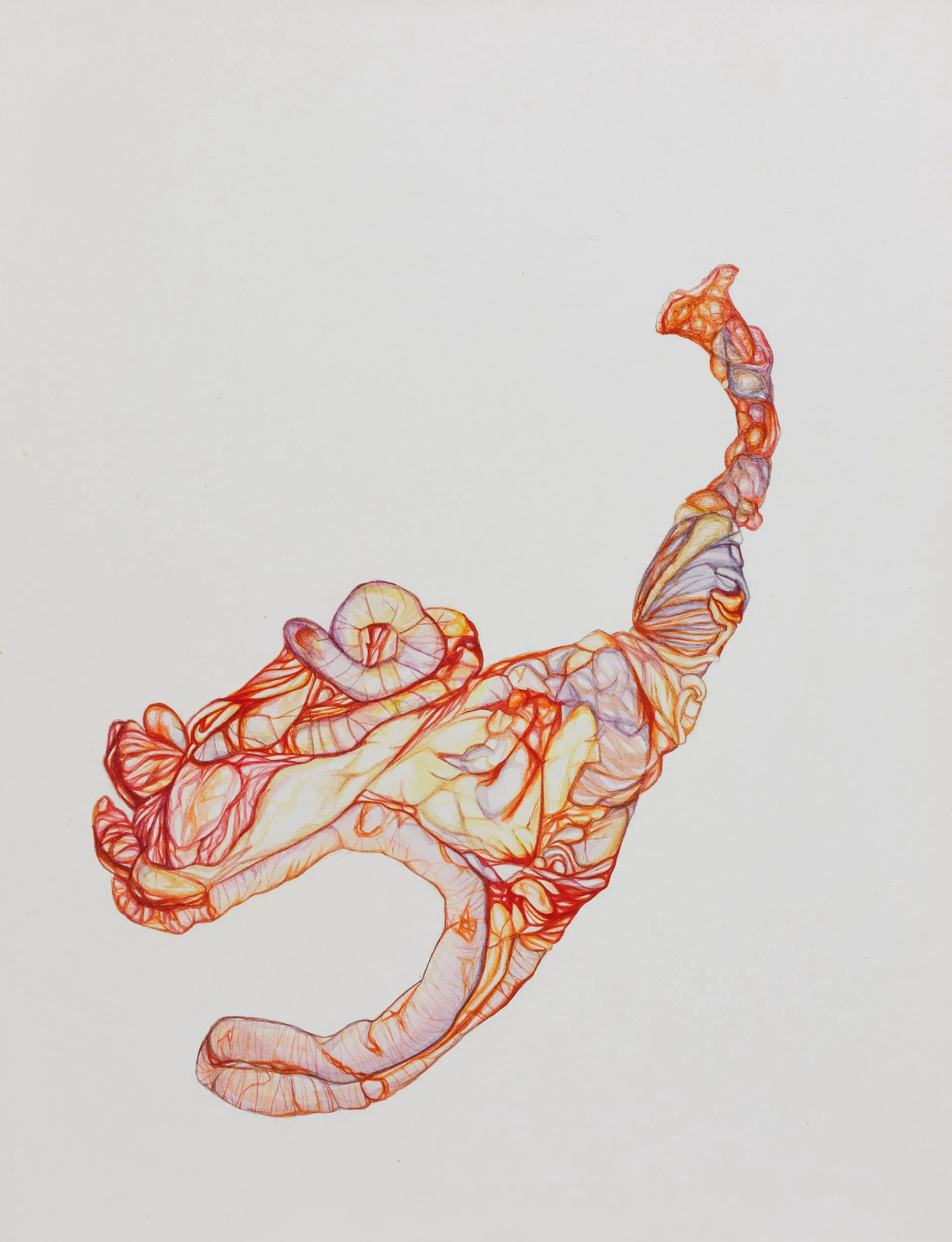 All they could do was grow their slimy excesses and fatty annoyances all over by Nabanita Guha - Watercolor on Fabriano paper