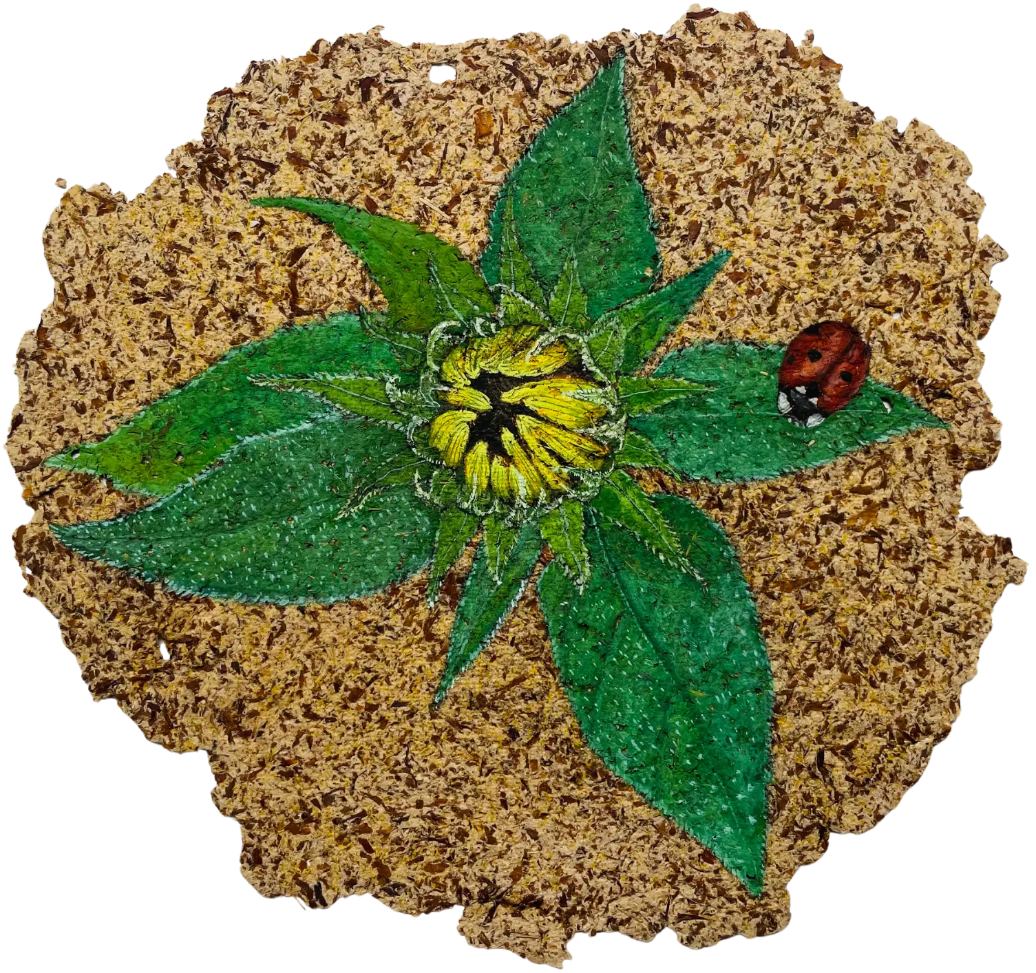 Parchavam-II, ਪਰਛਾਵਾਂ-II, 7 by Gurdeep Brar - Gouache on artist-made paper with dried flowers
