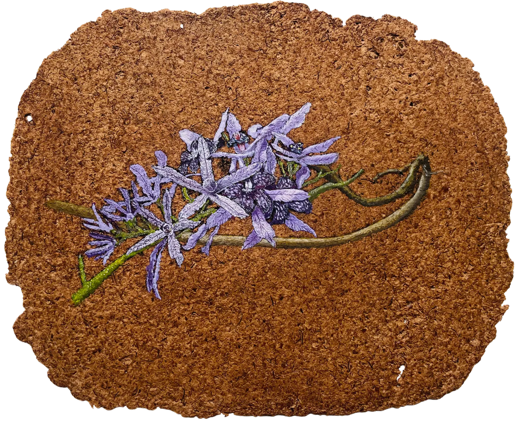 Parchavam-II, ਪਰਛਾਵਾਂ-II, 6 by Gurdeep Brar - Gouache on artist-made paper with dried flowers