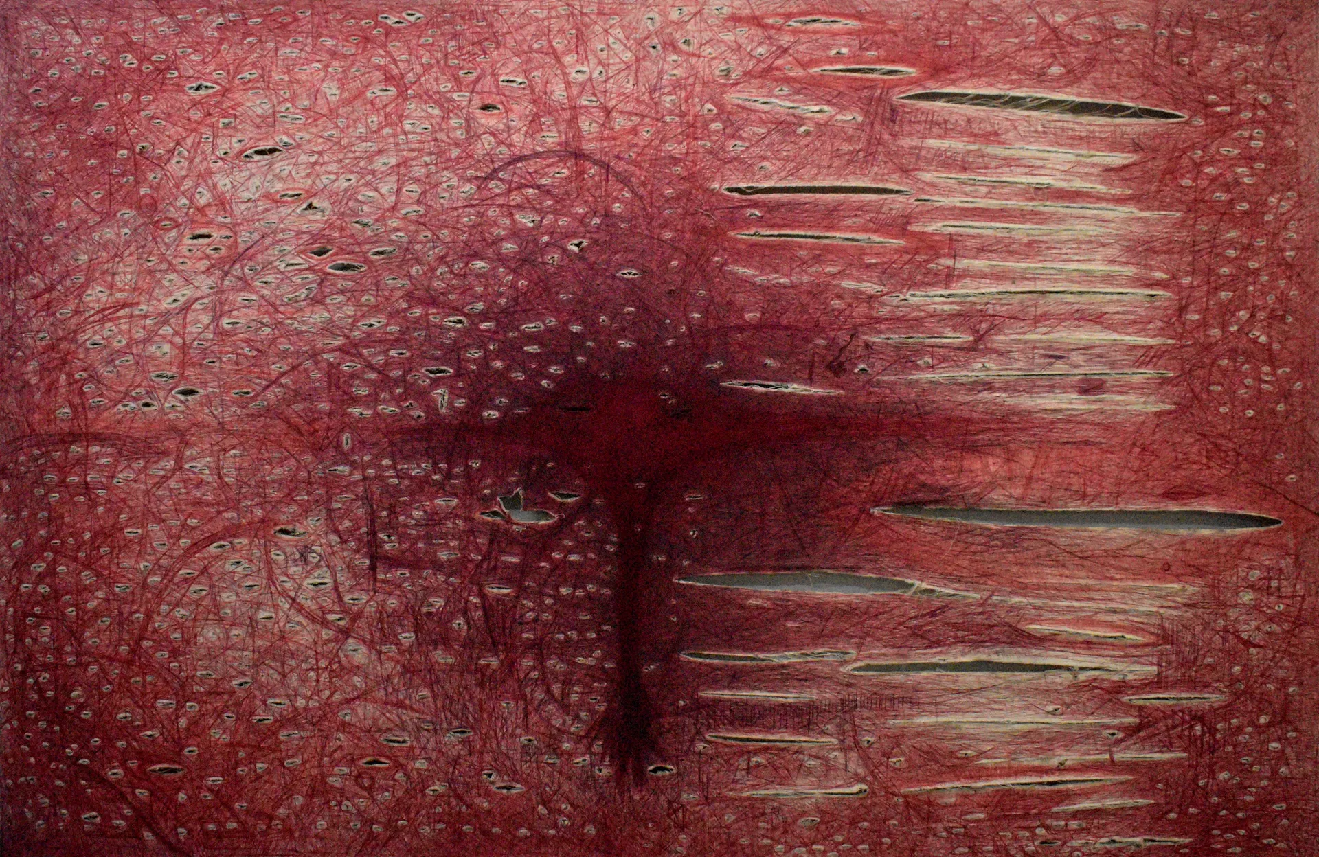 Unhealed terrain by Pramod Jaiswal - Ballpoint pen on canvas