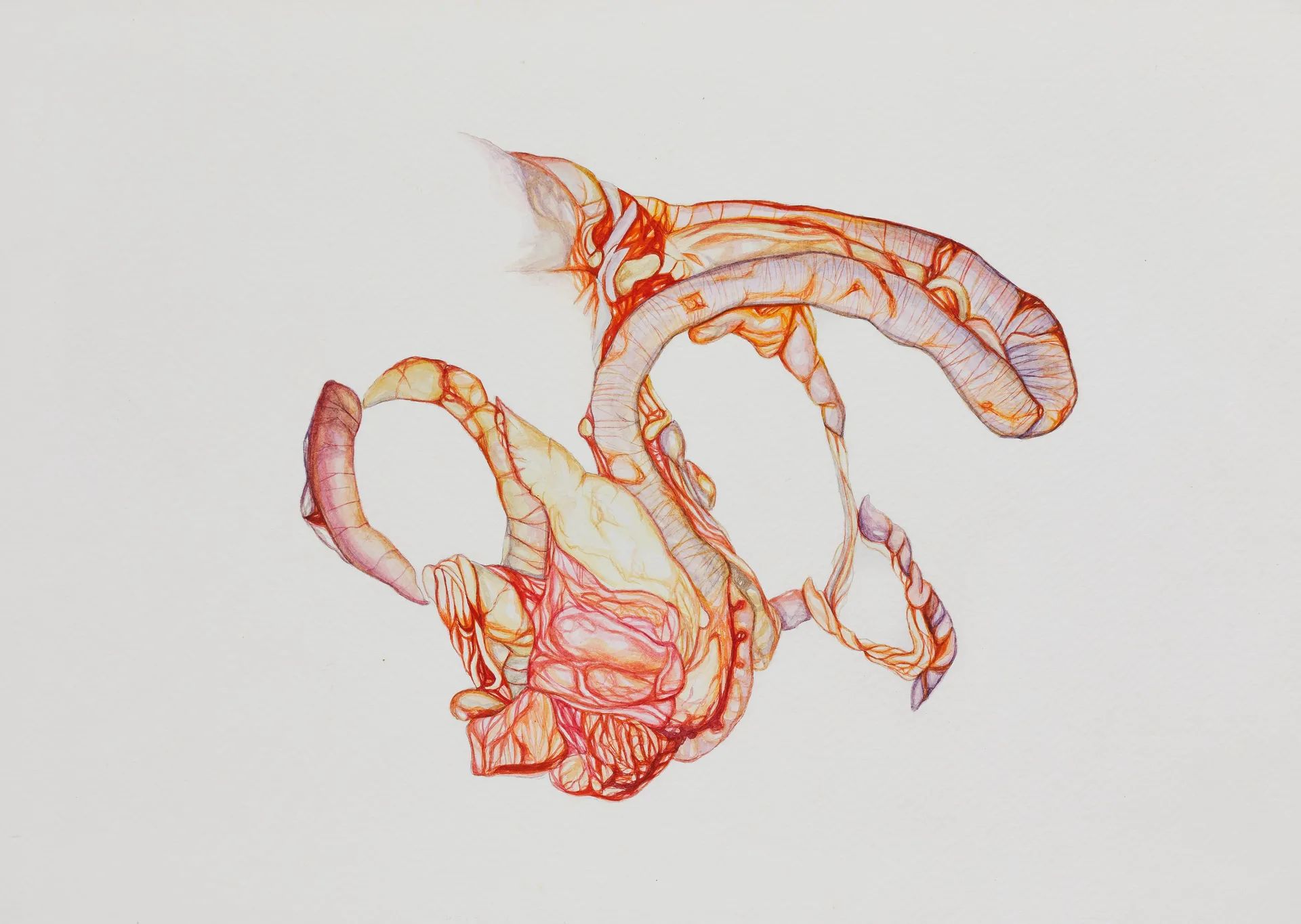 Sometimes I wonder why they were so afraid of the light: the unease of carrying the 
 bulk by Nabanita Guha - Watercolor on Fabriano paper