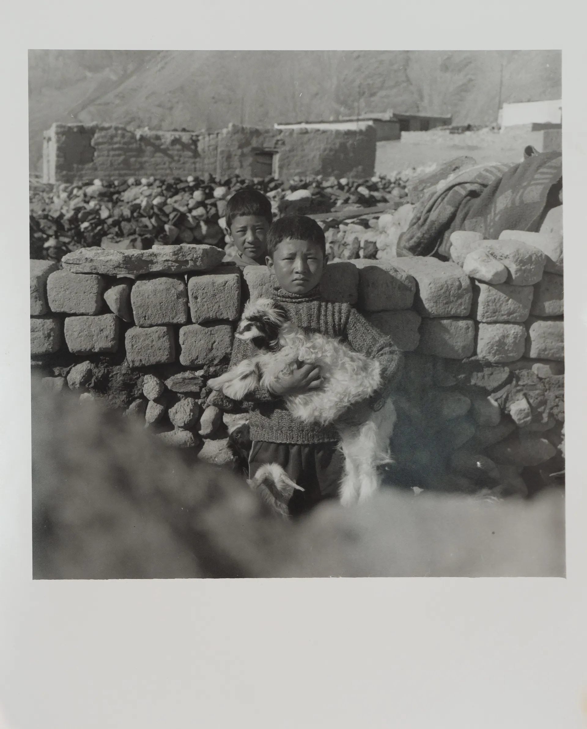 Summer pastures by Ayan Biswas - Silver gelatin print on Ilford Multigrade pearl finish paper