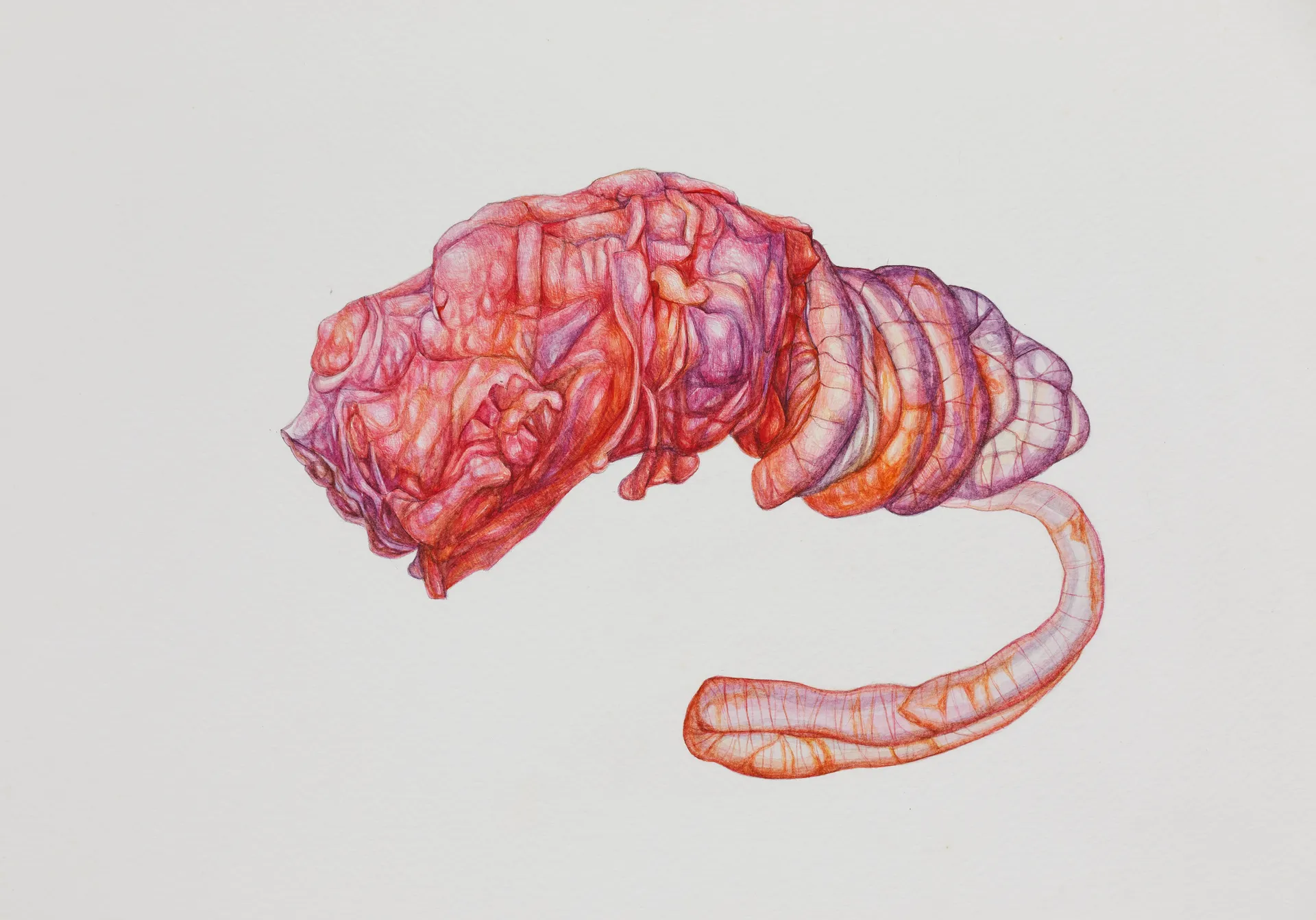 Confined, I fed them for years till I was lost in the wilderness by Nabanita Guha - Watercolor on Fabriano paper