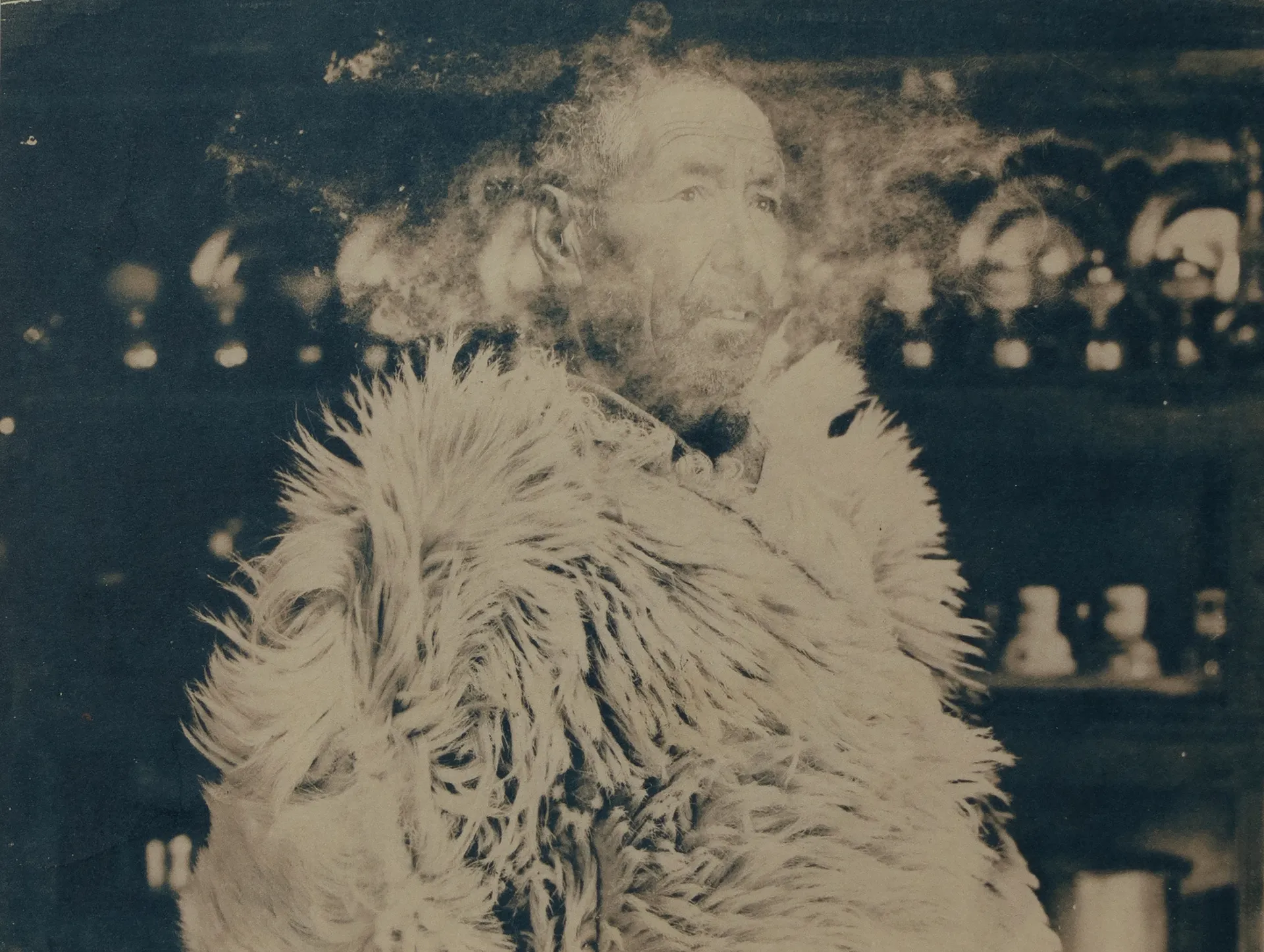 Reminiscence 1 by Ayan Biswas - Walnut-toned cyanotype with sheep placed on the image