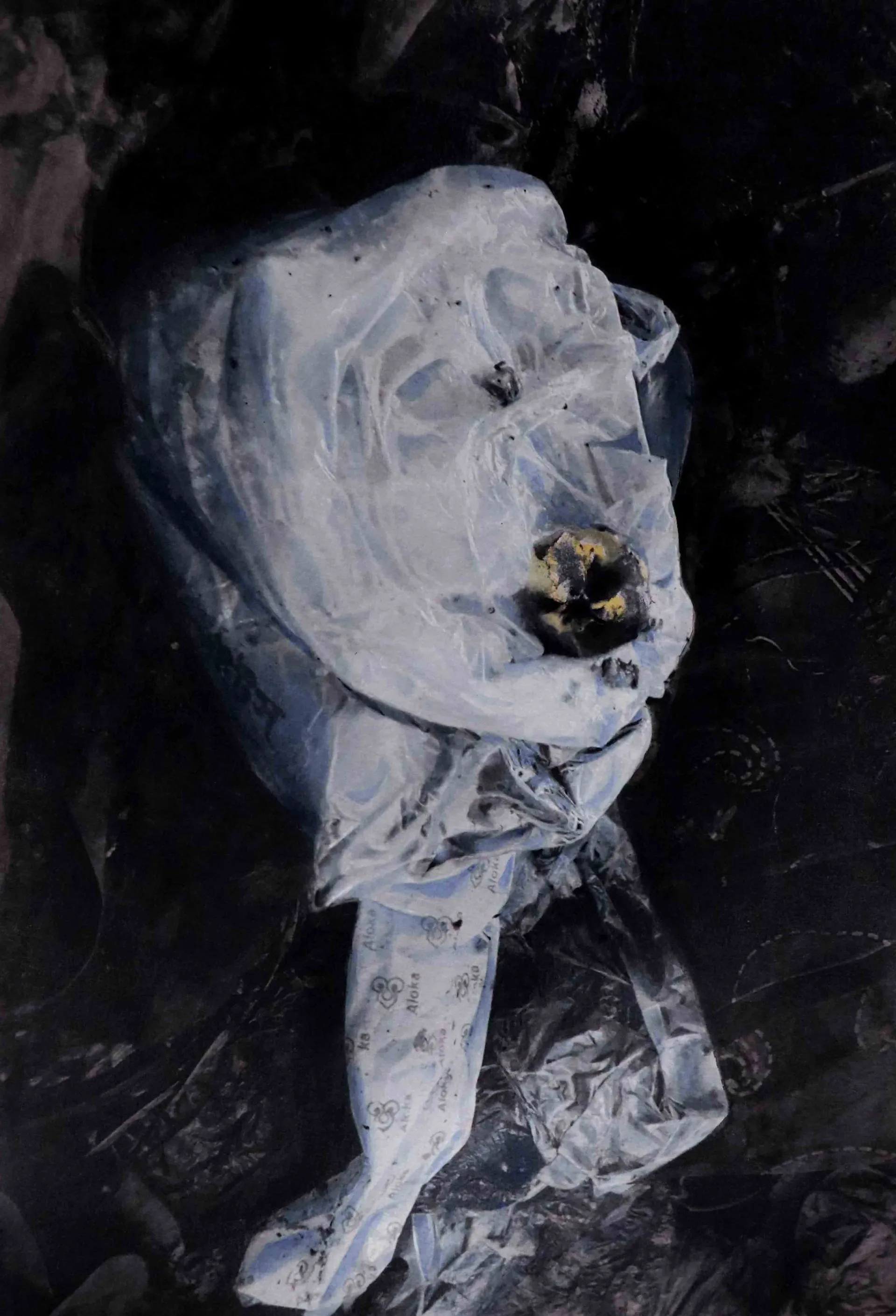 Untitled V by Sangita Datta - Watercolor and Chinese ink on archival photograph