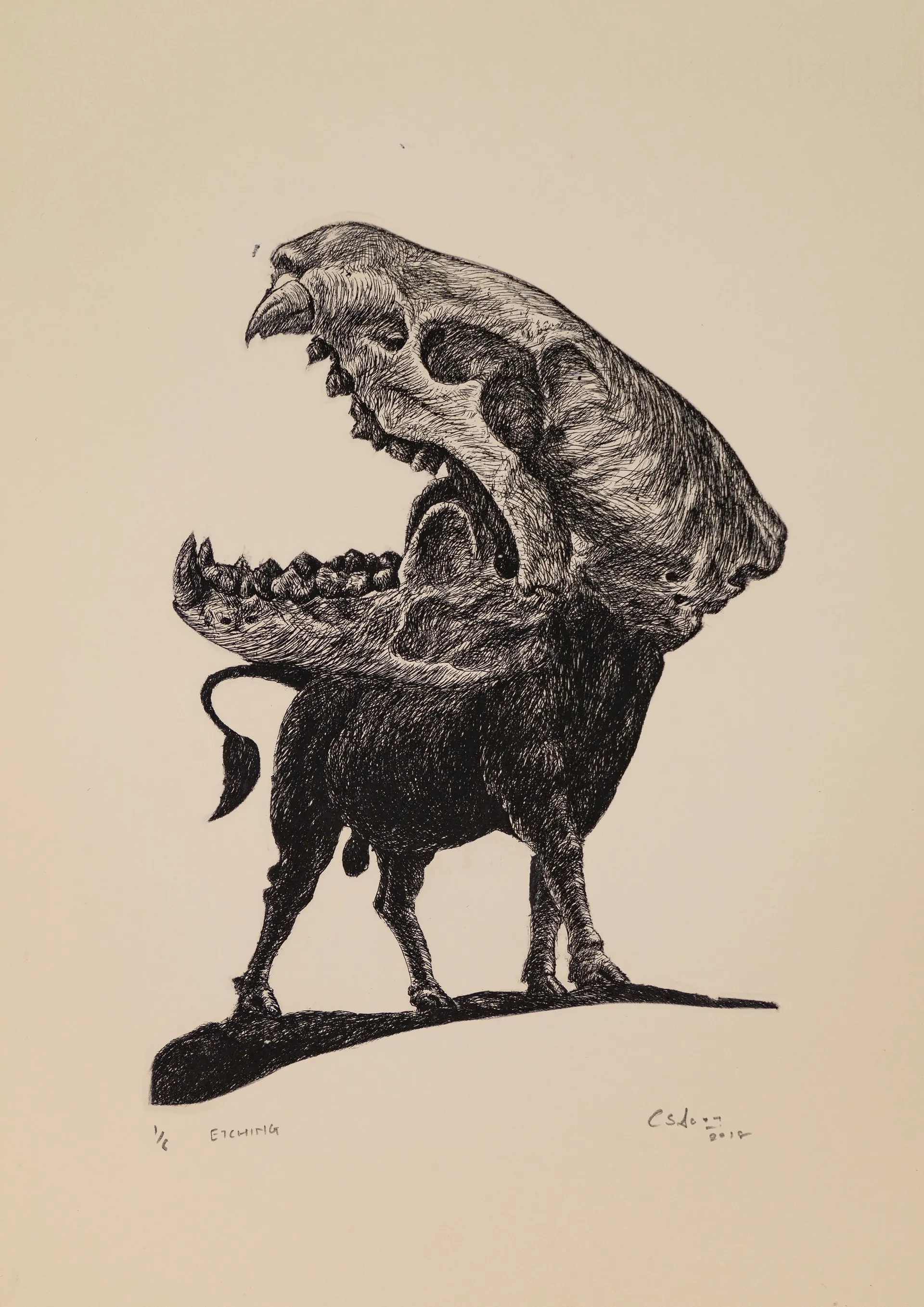A bull by Akbar Ali Sunasara - Etching