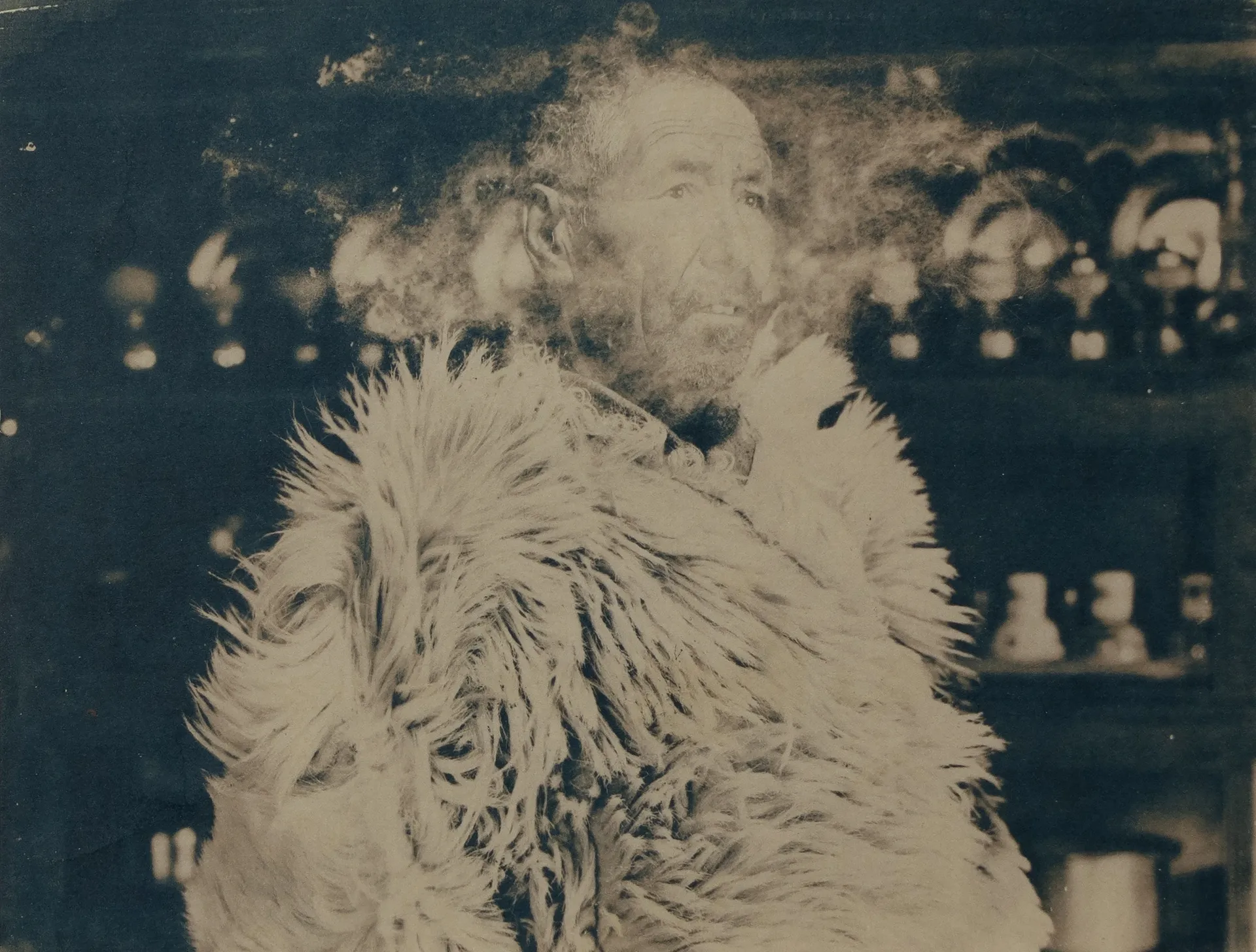 Reminiscence 1 by Ayan Biswas - Walnut-toned cyanotype with sheep placed on the image