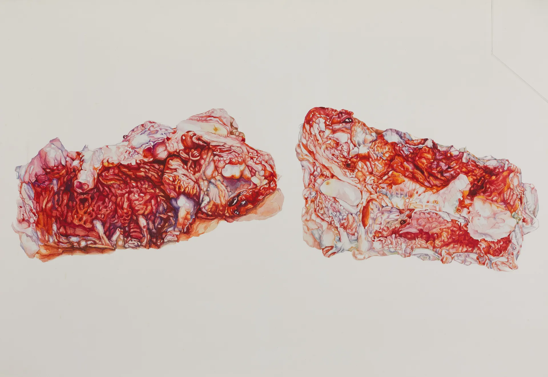 From the notebook of hieronymus: the spinster of oddi and the leaky adenomera by Nabanita Guha - Watercolor on Fabriano paper