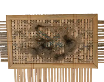 Alluvial memory 3 by Manjit Gogoi - Mixed media (bamboo weaving, water hyacinth pulp, fishing thread)