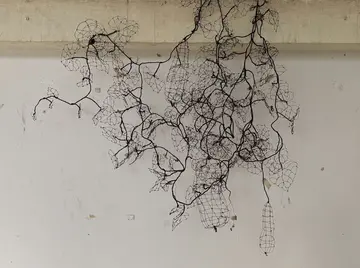 Growing as one by Bandita Talukdar - Iron binding wire