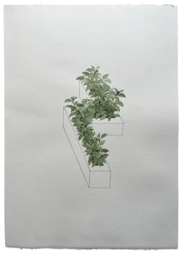 The green between 5 by Parul Sinha - Watercolor, ink on Fabriano Rosaspina paper