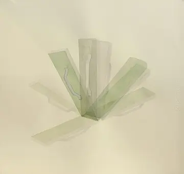 Dehydrated object (h) by Parul Sinha - Watercolor, ink on Fabriano Rosaspina paper