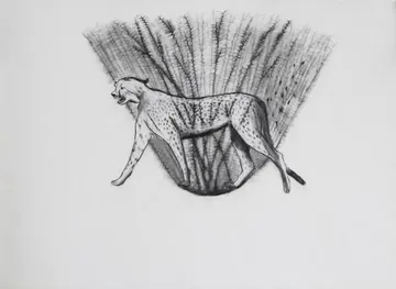 Untitled by Sarika Mehta - Charcoal pencil on Art Spectrum paper