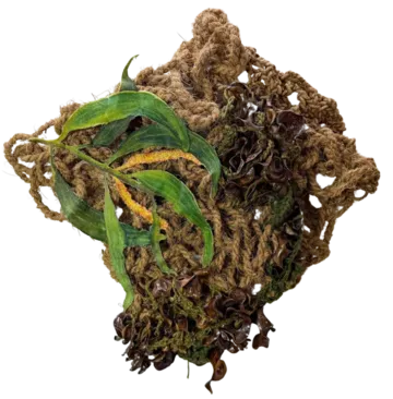 Assemblage IV by Jayita Barai - Sonajhuri tree seedpods, watercolor on cloth, cotton thread (dyed with onion peels and pine cones), coir rope