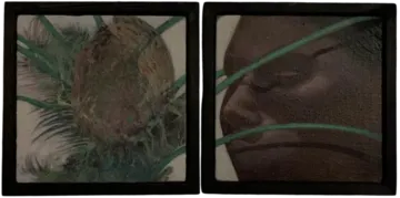 Disguised (diptych) by Tithi Das - Acrylic on tiny canvas