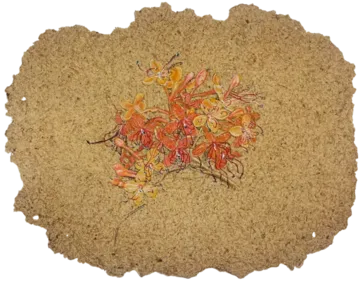 Parchavam-II, ਪਰਛਾਵਾਂ-II, 11 by Gurdeep Brar - Gouache on artist-made paper with dried flowers