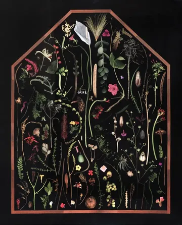 The pleasure garden by Avni Bansal - Scanography/digital manipulation & archival print on Hahnemühle paper
