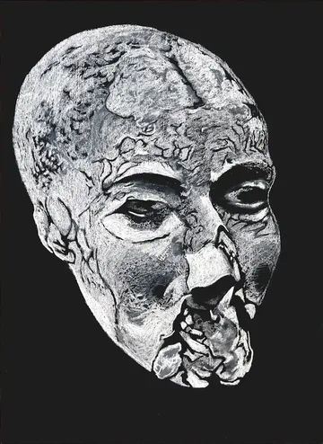 Edappadu specimen: Fossilised skull remains, coastal phase I by Boris Colin Alphonse - Chalk on blackboard (chalkboard paint, chalk, wooden board, pouring medium)