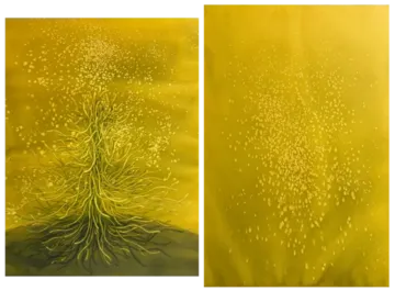 Ephemeral XII (diptych) by Sonali Sonam - Watercolor on paper