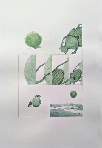Dung Beetle by Parul Sinha - Watercolor, ink on Fabriano Rosaspina paper