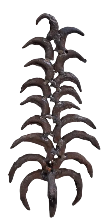 Strange growth by Arun B - Cast iron 