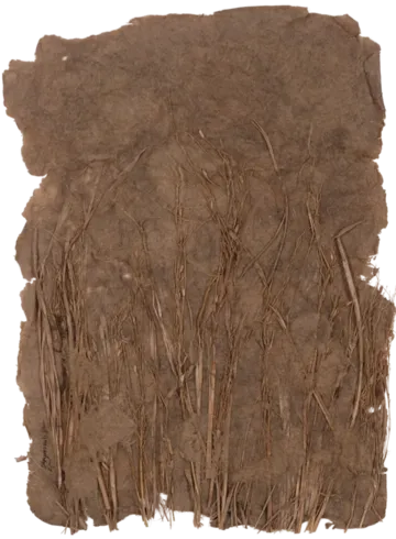 Survivor, 5 by Satyaranjan Das - Charcoal, watercolour, jute thread, paddy on handmade rice paper