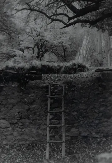 An autumn's tale by Ayan Biswas - Silver gelatin print, pearl finish