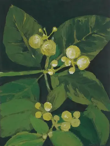 Golden weed by Rishma Mariya Johnson - Acrylic emulsion on canvas