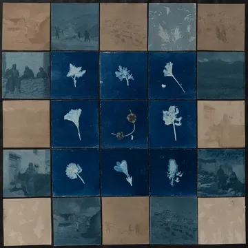 Sos ka (early summer) by Ayan Biswas - Toned cyanotype prints with local plants, and direct cyanotype prints of plants on watercolour paper