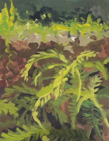 Pretty fern by Rishma Mariya Johnson - Acrylic emulsion on canvas