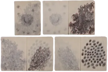 Untitled (Book 3) by Isha Itwala - Ink on rice paper