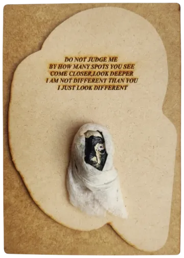 Poetics of face-1, 12 by Preksha Tater - Epoxy compound and mixed media