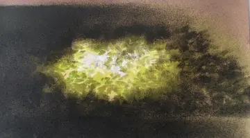 Untitled by Gayathri A P - Soft pastel on paper