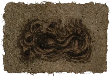 Surface of silence 3 by Manjit Gogoi - Mixed media (water hyacinth pulp, water hyacinth roots on water hyacinth paper)