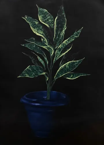 Almost real by Bhavana Parakh - Oil paint on Canson oil sheet