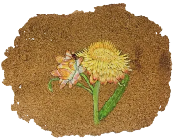 Parchavam-II, ਪਰਛਾਵਾਂ-II, 12 by Gurdeep Brar - Gouache on artist-made paper with dried flowers