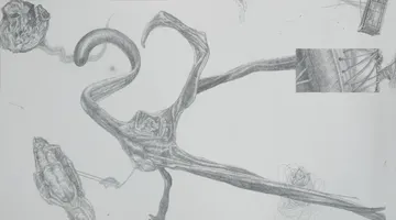 Things I heard 2 by Nabanita Guha - Graphite on Fabriano Paper