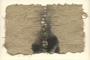 Echoes of consciousness V, 1 (set of 8) by Gopa Roy - Straw pulp, paper pulp, white cement, GI wire, jute, thread, natural objects and ink