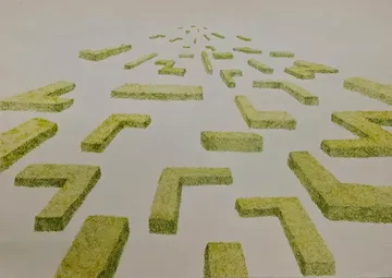 Untitled by Bhavana Parakh - Colored pencil on Fabriano Rosapina paper